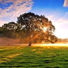 ธีรภัทร จันทร์สว่าง avatar