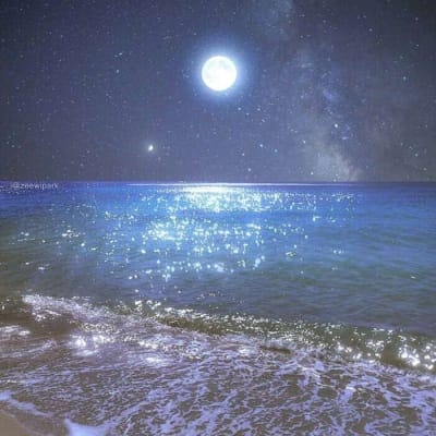 มานิตย์ คำพา avatar