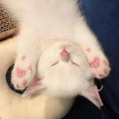 จิราภรณ์ พงษ์ศักดิ์ avatar