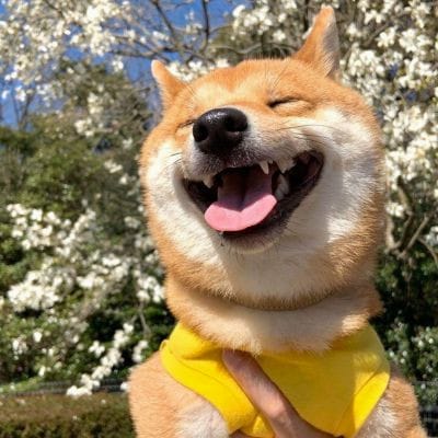 ศุภชัย วงศ์ทอง avatar